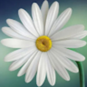 Meet your Posher, Ilsa